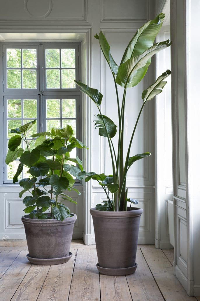 Flora RAW potter i et interiør